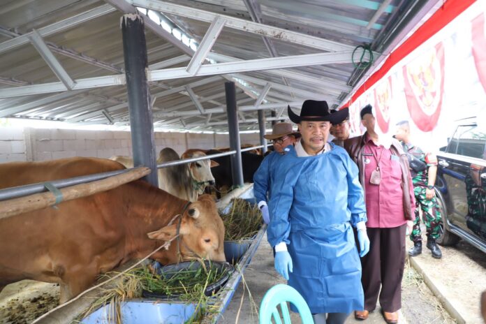 Penjabat Bupati Garut Tinjau Kesehatan Hewan Kurban di Karangpawitan